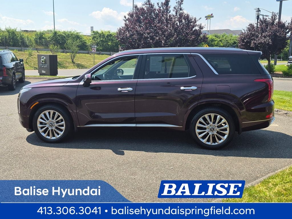 2020 Hyundai Palisade Limited - Photo 6